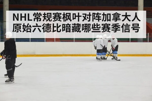 ice hockey players body check